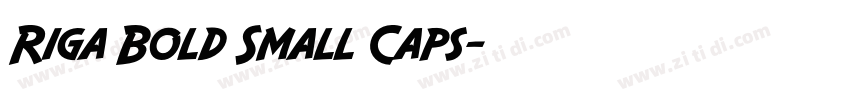 Riga Bold Small Caps字体转换 Riga Bold Small Caps字体转换